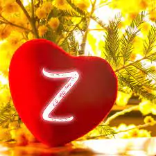 stylish z name dpz